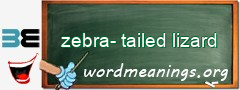 WordMeaning blackboard for zebra-tailed lizard